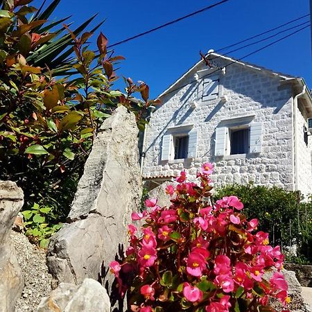 Old Stone Villa Lalosevic Котор Экстерьер фото